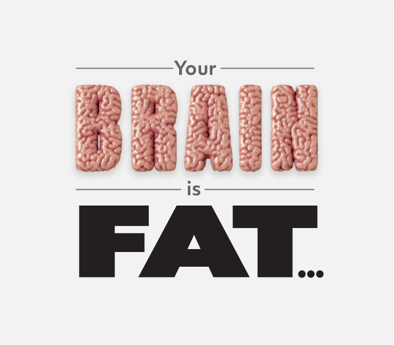 Your Brain Is Fat… And That’s Good!