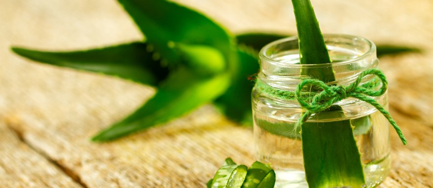 5 Reasons to bring aloe vera into your life