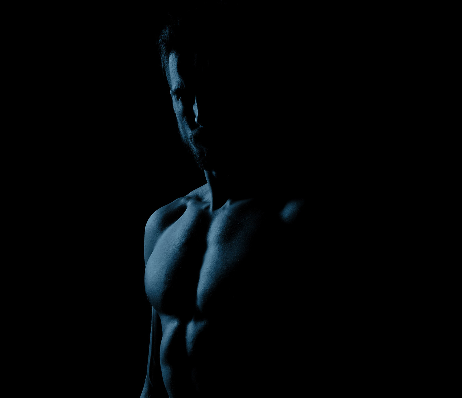 Body Protocols media